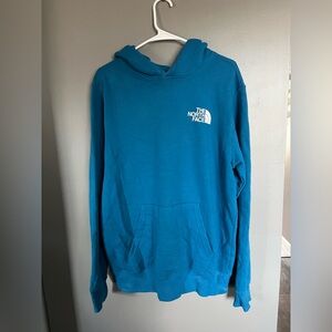 The North Face Men's Teal Hoodie
